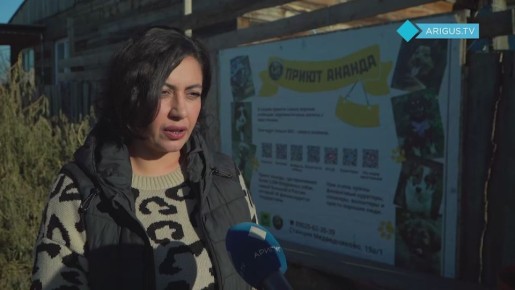 Приют для животных «Ананда» нуждается в добровольцах